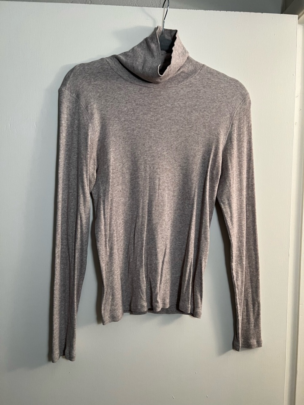 Everlane Luxe Rib Turtleneck in grey